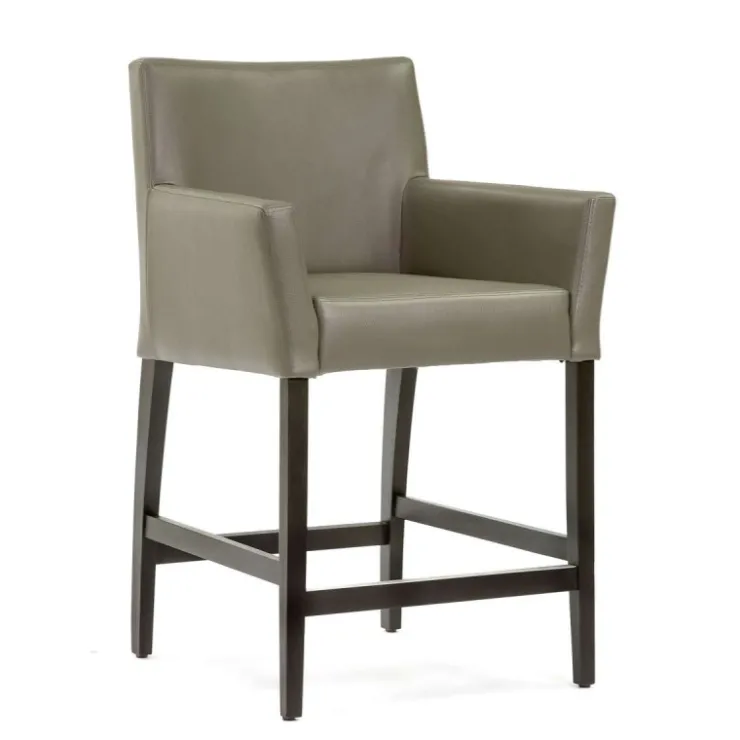 Sessio Tabouret Snack (assise +/- 65 Cm)|Tabouret De Bar (assise +/- 80 Cm)*BarMatiz Tabouret snack avec dossier et accoudoirs en synthétique