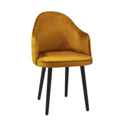 Sessio Chaise De Salle à Manger|Chaise Salon*Bistrot Fauteuil confortable en tissu et pieds bois