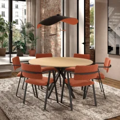 Perfecta Chaise De Salle à Manger|Chaise Salon*Bormio Chaise design en tissu avec accoudoirs et pieds en métal