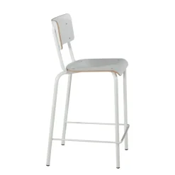 Perfecta Tabouret Snack (assise +/- 65 Cm)|Tabouret De Bar (assise +/- 80 Cm)*Collège Tabouret snack vintage avec dossier en bois et métal