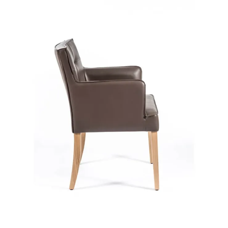 Sessio Chaise De Cuisine|Chaise De Salle à Manger*Diem 2 Fauteuil matelassé avec accoudoirs