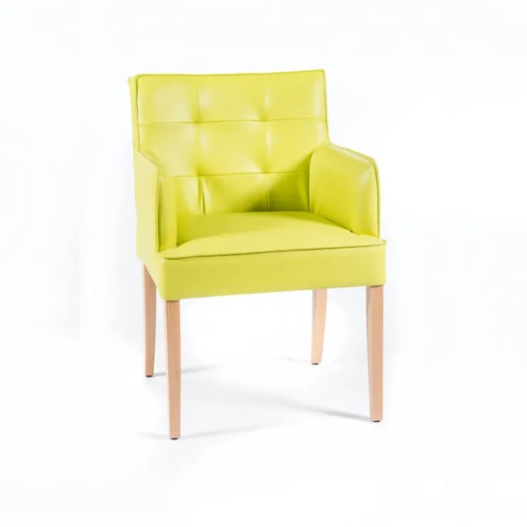 Sessio Chaise De Cuisine|Chaise De Salle à Manger*Diem 2 Fauteuil matelassé avec accoudoirs