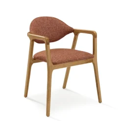 Dasras Chaise De Salle à Manger|Chaise Salon*Eden Fauteuil design en bois massif et tissu