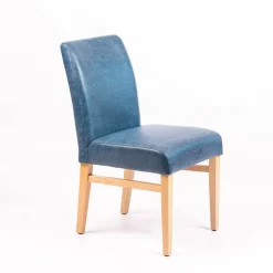 Sessio Chaise De Cuisine|Chaise De Salle à Manger*Fritz line 40