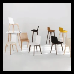 Enea Chaise De Cuisine|Chaise De Salle à Manger*Lottus ® Chaise design en polypropylène et pieds bois