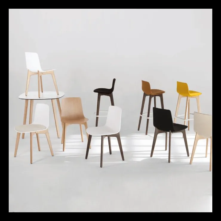 Enea Chaise De Cuisine|Chaise De Salle à Manger*Lottus ® Chaise design en polypropylène et pieds bois
