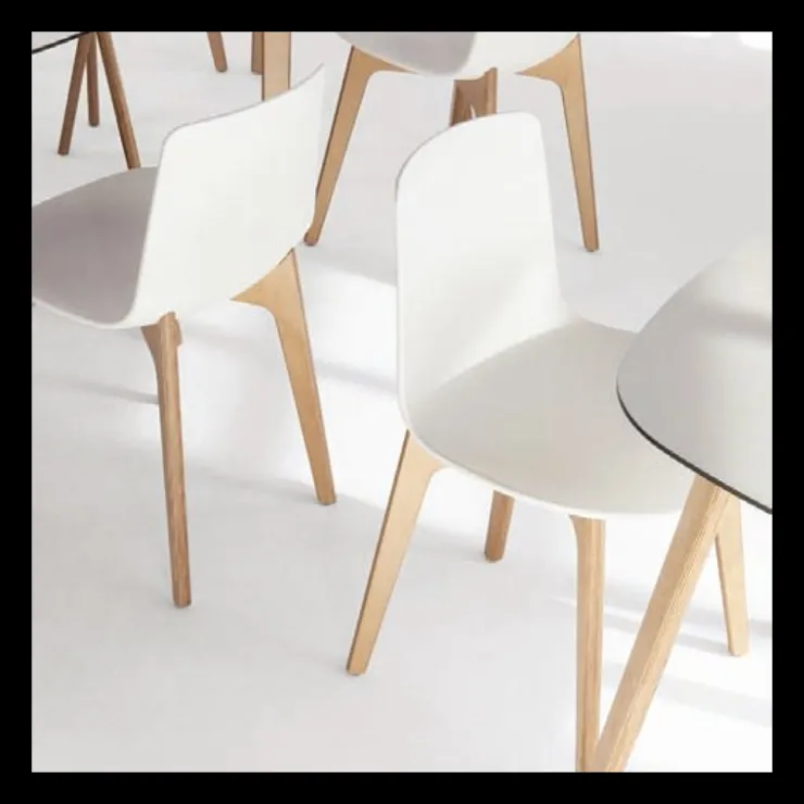 Enea Chaise De Cuisine|Chaise De Salle à Manger*Lottus ® Chaise design en polypropylène et pieds bois