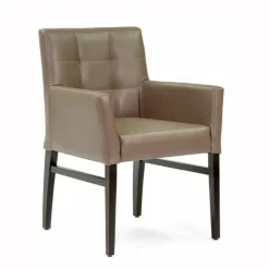 Sessio Chaise De Cuisine|Chaise De Salle à Manger*Matiz 4 Fauteuil contemporain en synthétique et bois