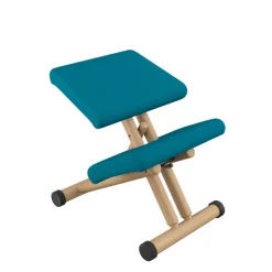 Varier Chaise De Bureau|Chaise Salon*Multi ® Siège de bureau ergonomique en tissu et bois