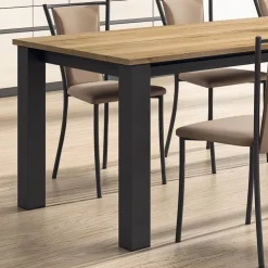 Perfecta Chaise De Cuisine*Reina Chaise de cuisine contemporaine en métal et simili
