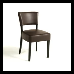 Sessio Chaise De Cuisine|Chaise De Salle à Manger*Steffi Chaise de salle à manger en bois et synthétique