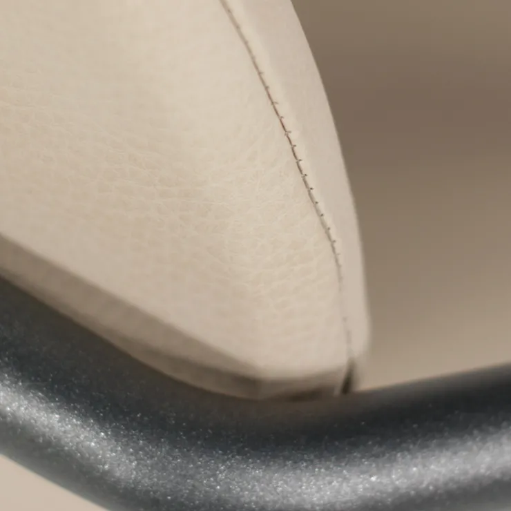Carrier Chaise De Cuisine|Chaise De Salle à Manger*Titan ® Fauteuil confort pour personne à forte corpulence
