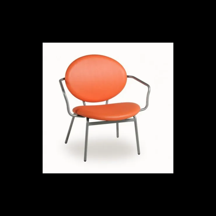 Carrier Chaise De Cuisine|Chaise De Salle à Manger*Titan ® Fauteuil confort pour personne à forte corpulence